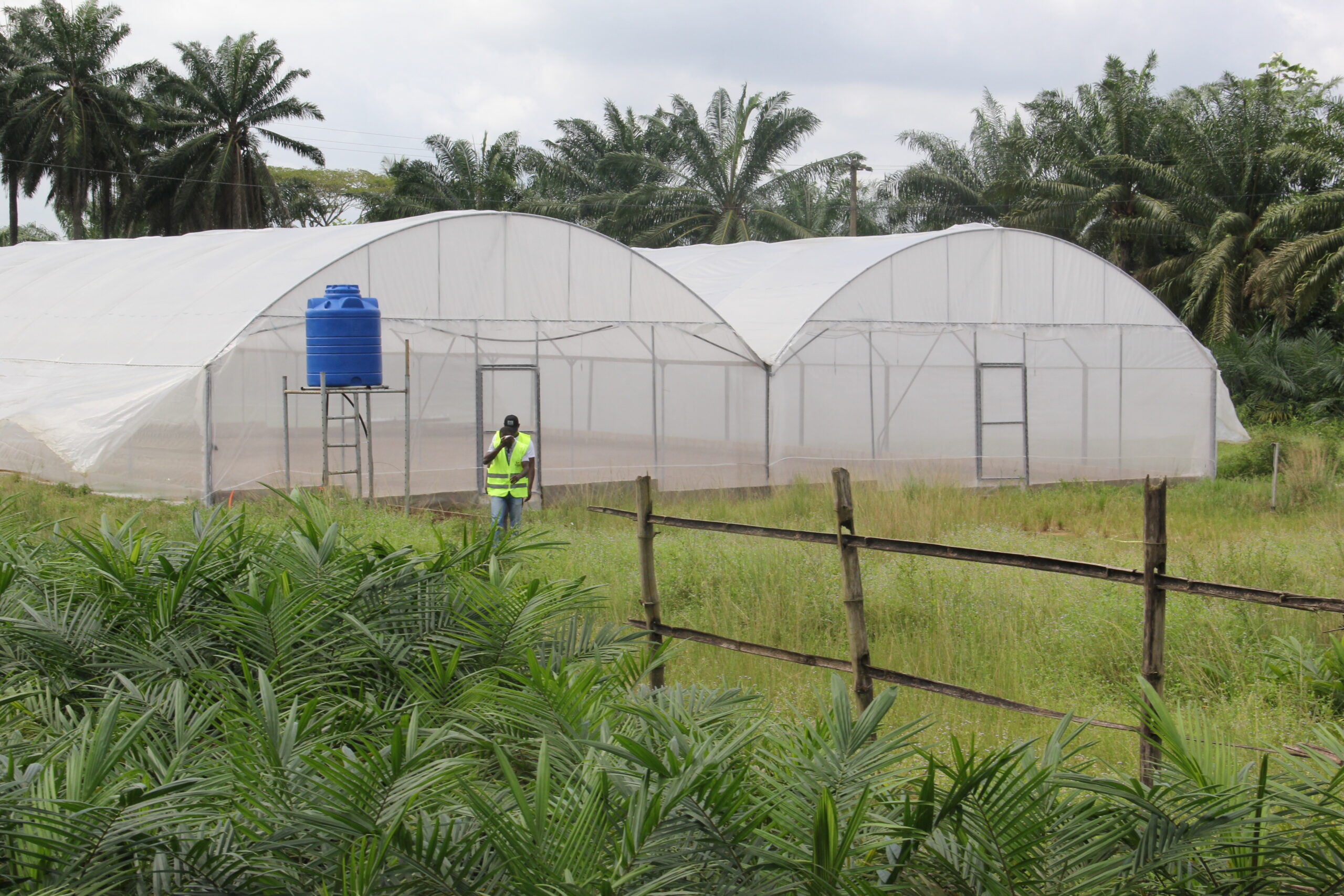 Serre multichapelle 500m²