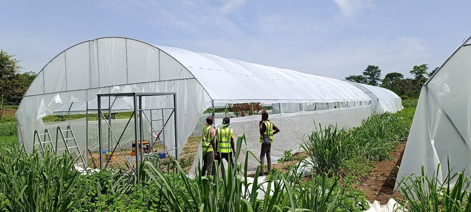 Réalisation de serre