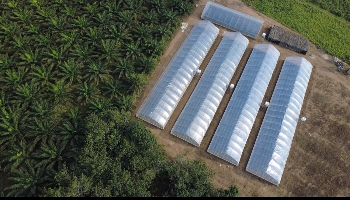 Serre professionnelle