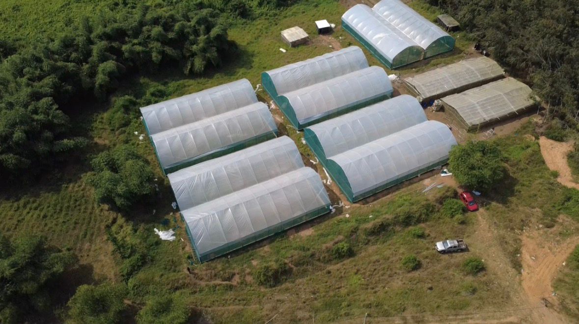 Réalisation Constructeur de Serre